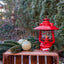 Geschenkset Baby Special 276 - Ambience Ruby Red